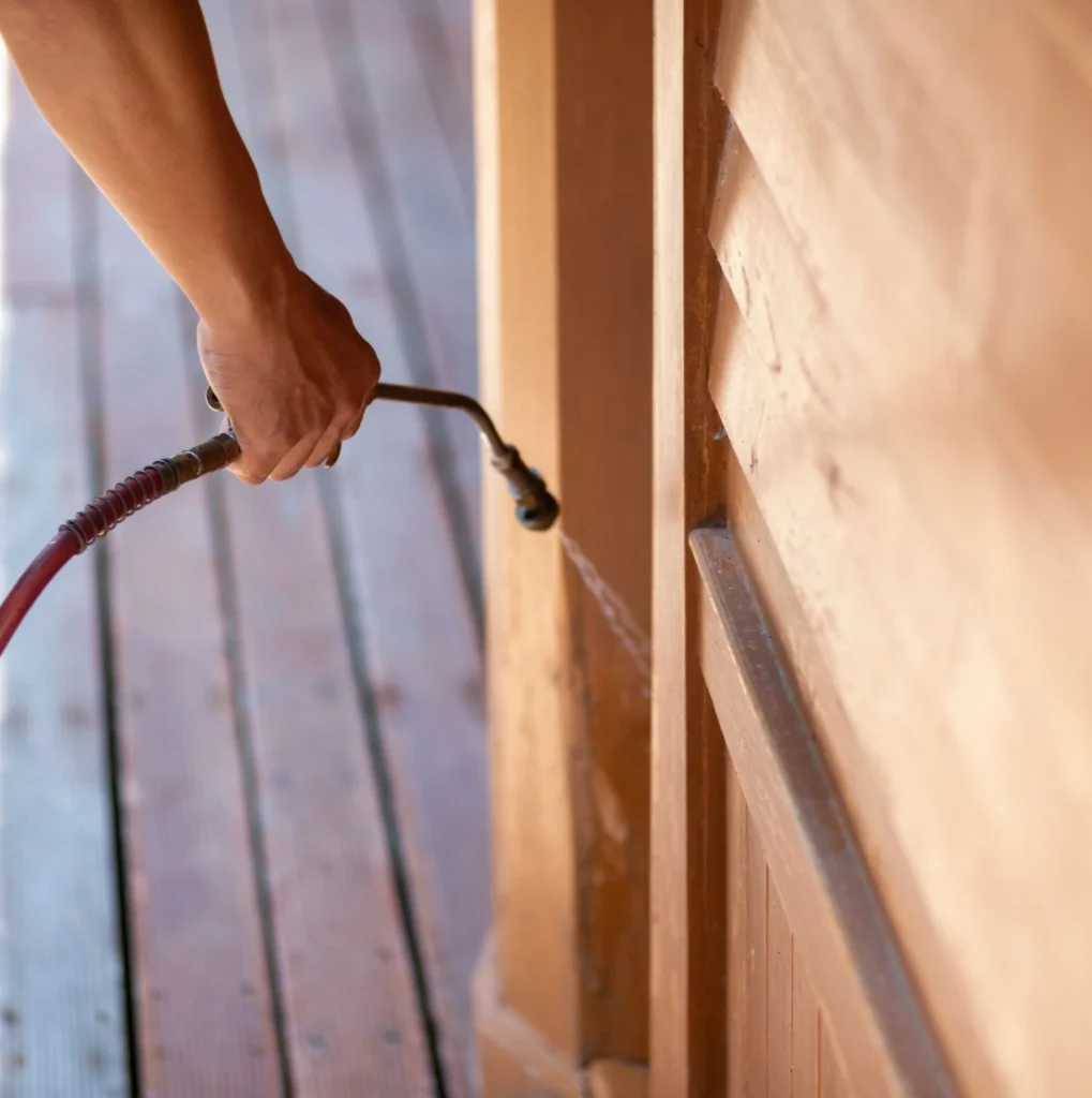 Trusted Pest Control - Woodside Best Pest Pros | Woodside, NY | 631-502-4644